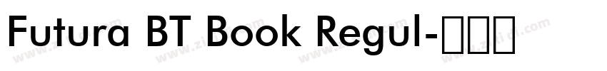Futura BT Book Regul字体转换